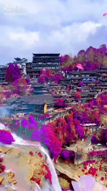 虫虫助手下载
